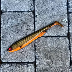 Gigashad Golden Sucker 24cm