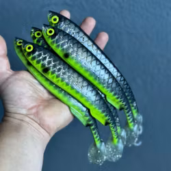 Gigashad Hot Belly Roach  24cm