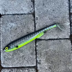 Gigashad Hot Belly Roach  24cm