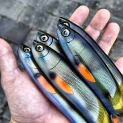 Gigashad Natural Perch  24cm