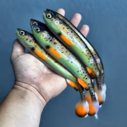 Gigashad Brown Trout  24cm