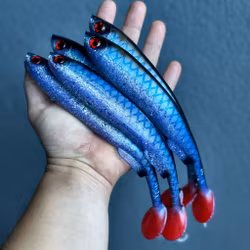 Gigashad UV Roach 24cm