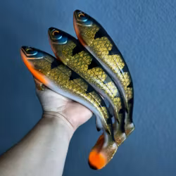 Gigabite v1 - Hot Motoroil Perch