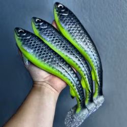 Gigabite v1 - Hot Belly Roach