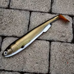 Gigashad Kiwi Bream 33cm