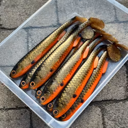 Gigashad Golden Sucker 33cm