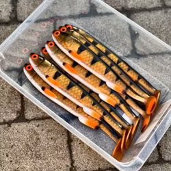 Gigashad Golden Perch 33cm