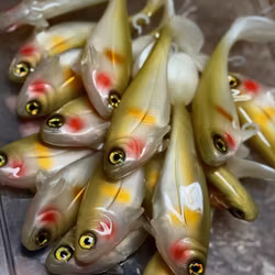 Snackbite Setsuki Ayu 16cm