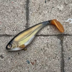 Snackbite Kiwi Bream 16cm