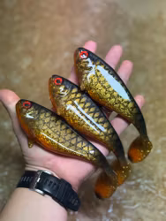 Snackbite Golden Sucker 16cm