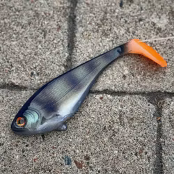 Snackbite Natural Perch UV 16cm