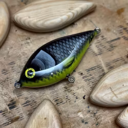 Piepie Hot Belly roach 13cm