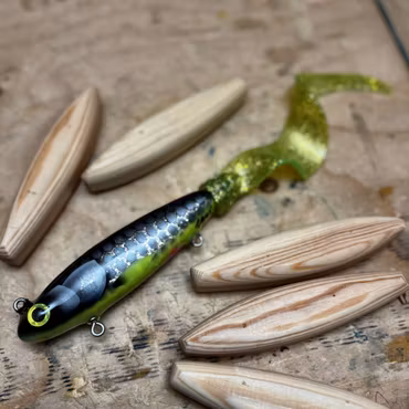 Gigatail Jr Hot Belly Roach 31cm (slow sink)