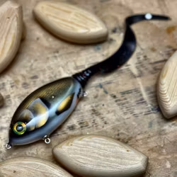 Ulm Tail - Kiwi Bream