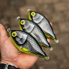 Piepie Hot Belly roach 13cm