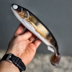 GigaFuseShad UV Walleye 33cm