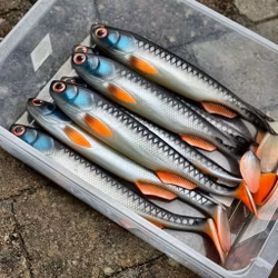 GigaFuseShad Roach 33cm