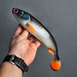 GigaFuseShad Roach 33cm