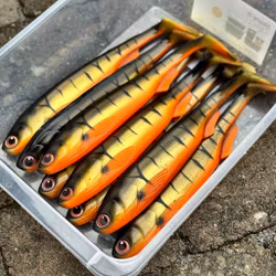 GigaFuseShad Striped Roach 33cm