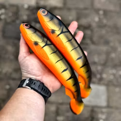 GigaFuseShad Striped Roach 33cm