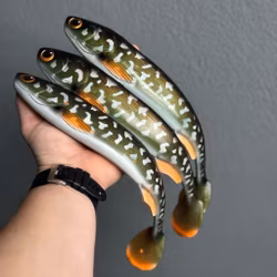 GigaFuseShad Motoroil Kiwi Pike 33cm