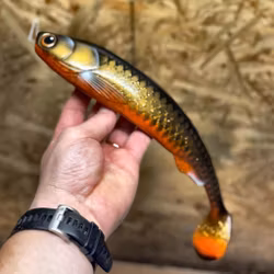 GigaFuseShad Golden Sucker 33cm (pre rigged)