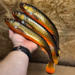 GigaFuseShad Golden Sucker 33cm
