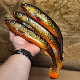GigaFuseShad Golden Sucker 33cm