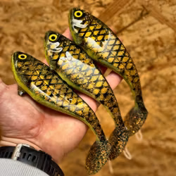 Snackbite Motoroil Copper Burbot 16cm