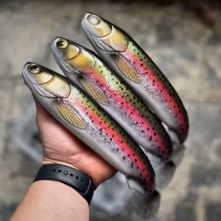 GigaFuseShad Glitterbågen 33cm