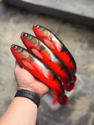 GigaFuseShad Red Tiger 33cm