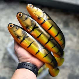 GigaFuseShad Striped Roach 33cm