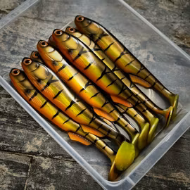 GigaFuseShad Striped Roach 33cm