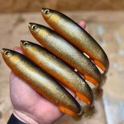 Gigashad JS Special 24cm