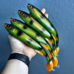 Gigashad Hot Motoroil Perch 24cm