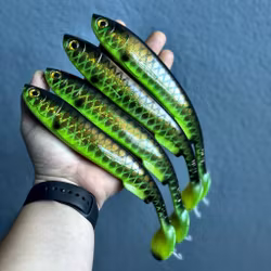 Gigashad Hot Motoroil Bream 24cm