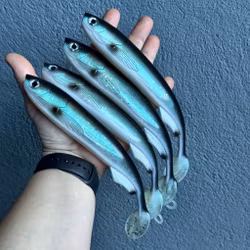GigaFuseShad Cisco 24cm