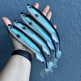 GigaFuseShad Cisco 24cm