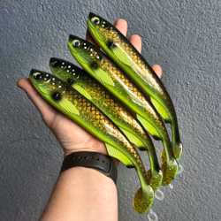 GigaFuseShad Motoroil Hot Bream 24cm