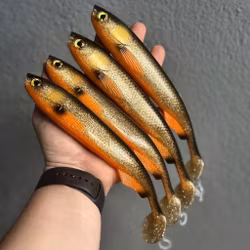 GigaFuseShad J.S Special 24cm