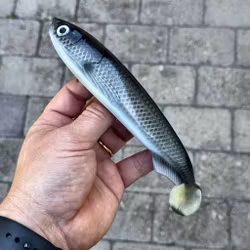 GigaFuseShad Sparkling Baitfish 24cm