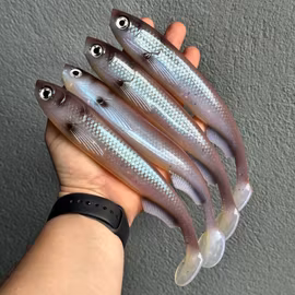 GigaFuseShad Wakasagi UV 24cm
