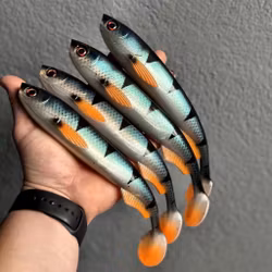 GigaFuseShad Signature Perch 24cm
