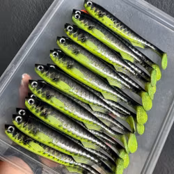 FuseShad Hot Belly Roach 20cm