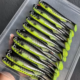 FuseShad Hot Belly Roach 20cm