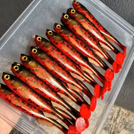 FuseShad Red Burbot 20cm