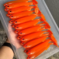FuseShad Geléråttan UV 20cm