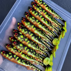 FuseShad Black Pike 20cm