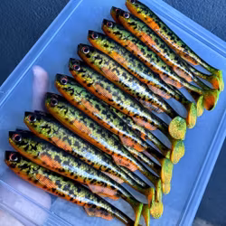 FuseShad Hot Motoroil Burbot 20cm