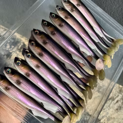 FuseShad Dirty WhiteFish 20cm